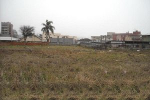 Terreno com 780m², no bairro Sagrada Família em Caxias do Sul para Alugar