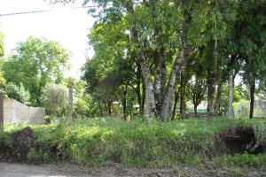 Terreno com 1280m², no bairro Desvio Rizzo em Caxias do Sul para Alugar