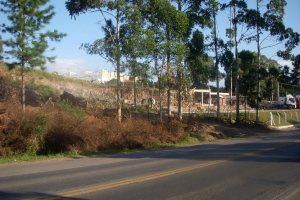 Terreno com 7000m², no bairro São Giácomo em Caxias do Sul para Alugar