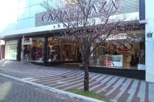 Loja com 25m², no bairro Centro em Caxias do Sul para Alugar