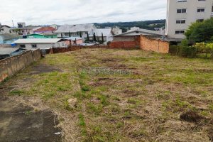 Terreno com 1568m², no bairro Sagrada Família em Caxias do Sul para Alugar