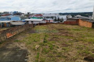 Terreno com 1568m², no bairro Sagrada Família em Caxias do Sul para Alugar