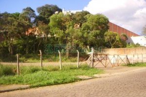 Terreno com 1710m², no bairro Nossa Senhora da Saúde em Caxias do Sul para Alugar