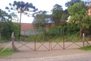 Terreno com 1710m², no bairro Nossa Senhora da Saúde em Caxias do Sul para Alugar