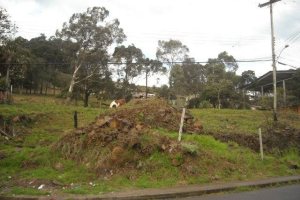 Terreno com 4000m², no bairro São Cristóvão em Caxias do Sul para Alugar
