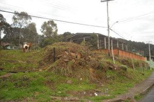 Terreno com 4000m², no bairro São Cristóvão em Caxias do Sul para Alugar