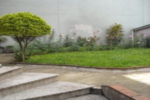 Casa Comercial com 550m², 3 dormitórios, 2 vagas, no bairro São Pelegrino em Caxias do Sul para Alugar