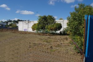 Terreno com 2000m², no bairro São José em Caxias do Sul para Alugar