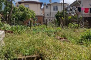 Casa com 90m², 2 dormitórios, no bairro Rio Branco em Caxias do Sul para Comprar