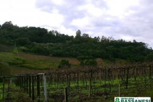 Chácara com 150m², 3 dormitórios, 1 vaga, no bairro Cidade Industrial em Caxias do Sul para Comprar