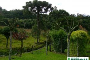 Chácara com 150m², 3 dormitórios, 1 vaga, no bairro Cidade Industrial em Caxias do Sul para Comprar