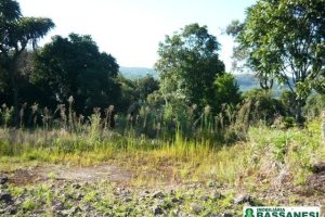 Chácara, no bairro Linha 40 em Caxias do Sul para Comprar