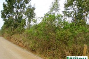 Terreno, no bairro Moinhos de Vento em Caxias do Sul para Comprar
