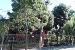 Casa com 600m², 5 dormitórios, 4 vagas, no bairro Saint Etienne em Caxias do Sul para Comprar