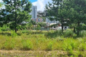 Terreno com 453m², no bairro Vitoria em Caxias do Sul para Comprar