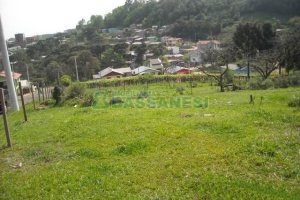 Terreno com 2292m², no bairro Santo Antônio em Caxias do Sul para Alugar