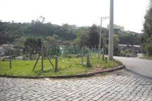 Terreno com 2292m², no bairro Santo Antônio em Caxias do Sul para Alugar