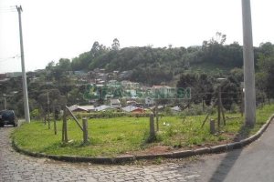 Terreno com 2292m², no bairro Santo Antônio em Caxias do Sul para Alugar