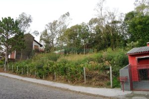 Terreno com 720m², no bairro Charqueadas em Caxias do Sul para Alugar