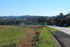 Terreno com 24000m², no bairro Pedancino em Caxias do Sul para Alugar
