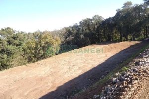 Terreno com 24000m², no bairro Pedancino em Caxias do Sul para Alugar