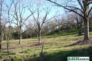 Terreno com 360m², no bairro São Caetano em Caxias do Sul para Comprar