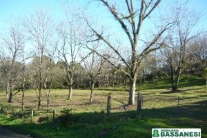 Terreno com 360m², no bairro São Caetano em Caxias do Sul para Comprar