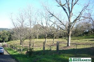 Terreno com 360m², no bairro São Caetano em Caxias do Sul para Comprar