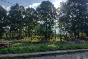 Terreno com 60055m², no bairro Mariland em Caxias do Sul para Comprar