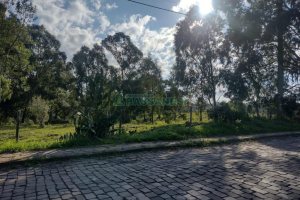 Terreno com 60055m², no bairro Mariland em Caxias do Sul para Comprar