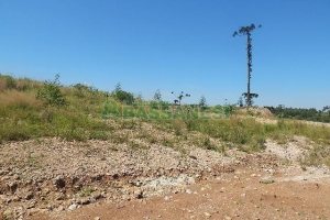 Terreno com 5574m², no bairro Sanvitto em Caxias do Sul para Alugar
