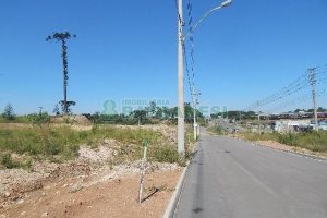 Terreno com 5574m², no bairro Sanvitto em Caxias do Sul para Alugar