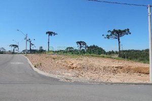 Terreno com 4810m², no bairro Sanvitto em Caxias do Sul para Alugar