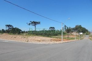 Terreno com 4810m², no bairro Sanvitto em Caxias do Sul para Alugar