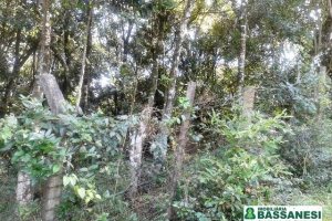 Terreno, no bairro Bom Pastor em Caxias do Sul para Comprar