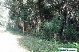 Terreno, no bairro Bom Pastor em Caxias do Sul para Comprar