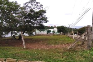 Terreno com 855m², no bairro Salgado Filho em Caxias do Sul para Alugar