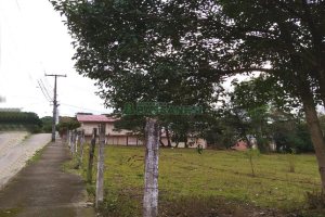 Terreno com 855m², no bairro Salgado Filho em Caxias do Sul para Alugar