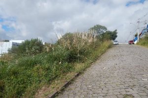 Terreno com 720m², no bairro Sanvitto em Caxias do Sul para Alugar