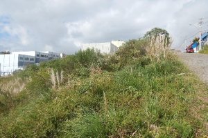 Terreno com 720m², no bairro Sanvitto em Caxias do Sul para Alugar