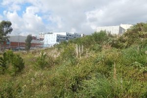 Terreno com 720m², no bairro Sanvitto em Caxias do Sul para Alugar