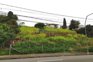 Terreno com 1500m², no bairro Rio Branco em Caxias do Sul para Alugar