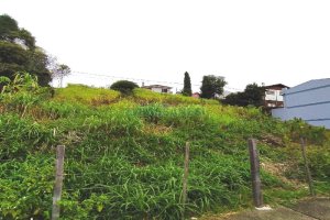 Terreno com 1500m², no bairro Rio Branco em Caxias do Sul para Alugar