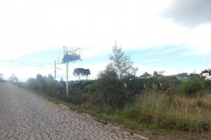 Terreno com 30800m², no bairro Linha Julieta em Farroupilha para Alugar