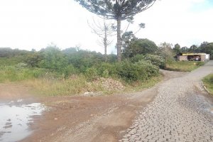 Terreno com 30800m², no bairro Linha Julieta em Farroupilha para Alugar