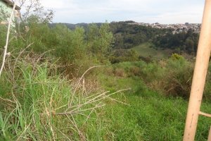 Terreno, no bairro São Victor COHAB em Caxias do Sul para Comprar