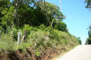 Chácara, no bairro Nossa Senhora do Rosário em Caxias do Sul para Comprar
