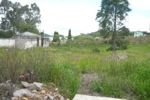 Terreno com 3276m², no bairro Diamantino em Caxias do Sul para Alugar