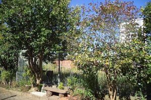 Terreno com 800m², no bairro Sagrada Família em Caxias do Sul para Alugar