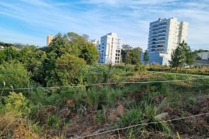 Terreno, no bairro Vila Horn em Caxias do Sul para Comprar
